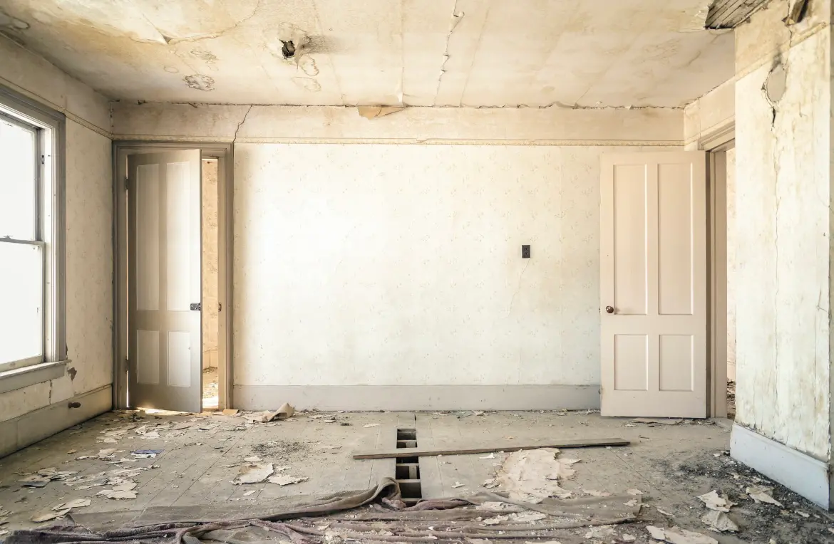 Waste disposal crew managing a cleanout project in Holliston